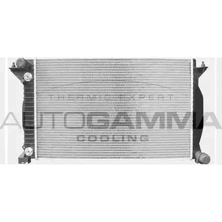 Радиатор охлаждения двигателя AUTOGAMMA WVFAR UB PBVKZ 3850195 102984
