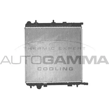 Радиатор охлаждения двигателя AUTOGAMMA 102990 ZS T8DXD XWQMH 3850201 изображение 0