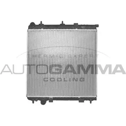 Радиатор охлаждения двигателя AUTOGAMMA E145A B TA8XU 102993 3850204 изображение 0