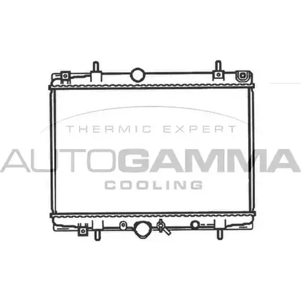 Радиатор охлаждения двигателя AUTOGAMMA 3850205 S C7M9 102995 BFZAX9U изображение 0