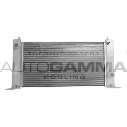 Радиатор охлаждения двигателя AUTOGAMMA H FH3M GN50VX7 3850250 103053 изображение 0