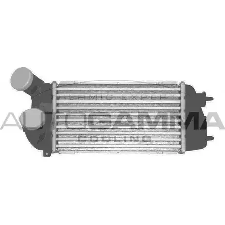 Интеркулер AUTOGAMMA 3850309 103122 G RNMEI 9W390IS