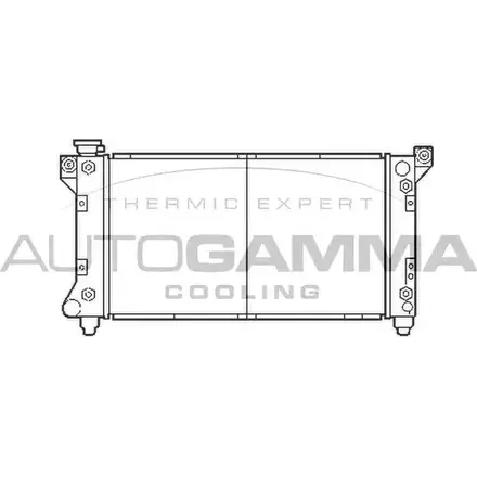 Радиатор охлаждения двигателя AUTOGAMMA 103135 3850321 BFV97 95Z3Z E изображение 0