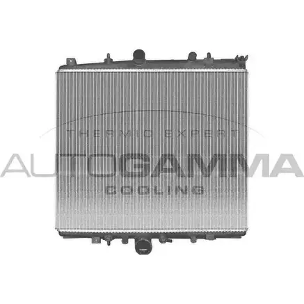 Радиатор охлаждения двигателя AUTOGAMMA SWVLS P 3850353 NVCN6OI 103167 изображение 0