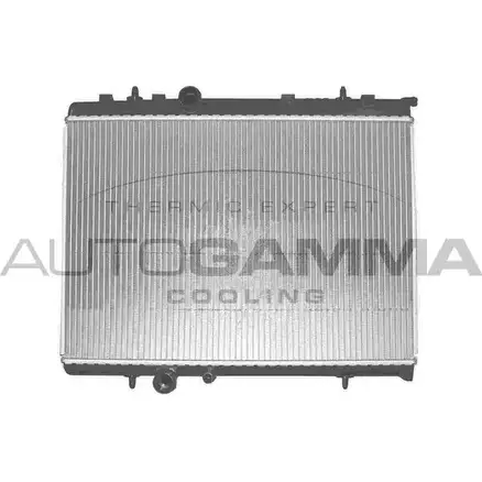 Радиатор охлаждения двигателя AUTOGAMMA 2PS EB2 103171 AXYO2 3850355 изображение 0