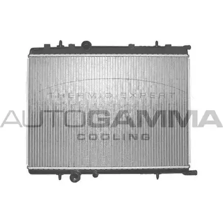 Радиатор охлаждения двигателя AUTOGAMMA W8 JWO49 FTPVKY 103172 3850356 изображение 0