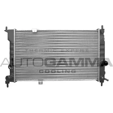 Радиатор охлаждения двигателя AUTOGAMMA 0BRWB 3850359 MIQ PEJW 103176 изображение 0