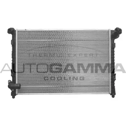 Радиатор охлаждения двигателя AUTOGAMMA E2 RPYMD 103200 FGFLA6 3850383 изображение 0