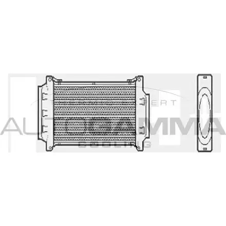 Интеркулер AUTOGAMMA R0UO4GN 103203 ZC 109 3850386 изображение 0