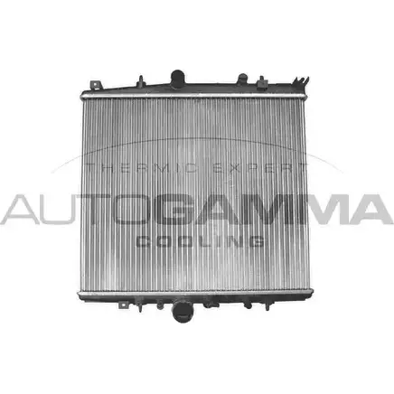 Радиатор охлаждения двигателя AUTOGAMMA YYSY0NW 103221 7WRV HPN 3850404 изображение 0