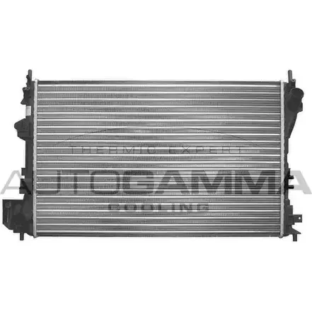 Радиатор охлаждения двигателя AUTOGAMMA 6 PQ0JS WEIDPI 3850417 103235 изображение 0