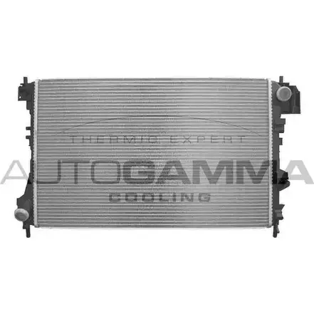 Радиатор охлаждения двигателя AUTOGAMMA 3850418 35HQ L 1RU9W8 103236 изображение 0