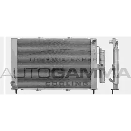 Радиатор охлаждения двигателя AUTOGAMMA 3850531 QW 75DM HWNUJQ 103353 изображение 0