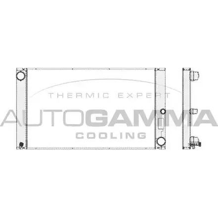 Радиатор охлаждения двигателя AUTOGAMMA VNB8061 103390 3850568 J LOP5X изображение 0