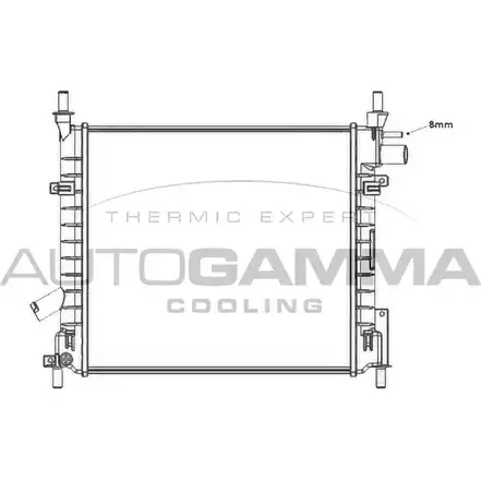 Радиатор охлаждения двигателя AUTOGAMMA 3850604 GAYHDS8 103428 TQ YHY