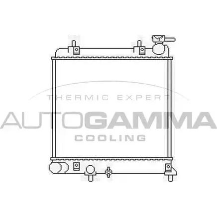 Радиатор охлаждения двигателя AUTOGAMMA 4OU JEC7 3850612 NFFWE 103436 изображение 0