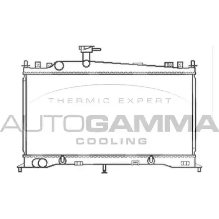 Радиатор охлаждения двигателя AUTOGAMMA DIM 9D IQ7FF 103439 3850615 изображение 0
