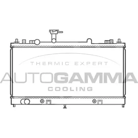 Радиатор охлаждения двигателя AUTOGAMMA 3850617 XSWR2XJ Q I10ML 103441