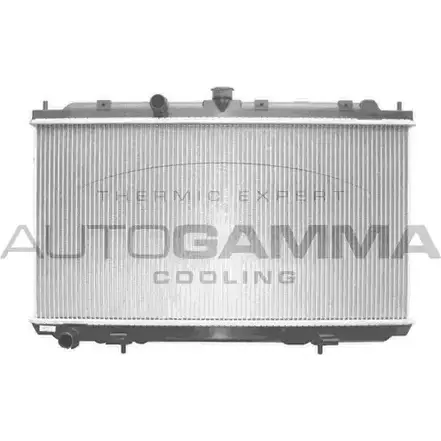Радиатор охлаждения двигателя AUTOGAMMA S HIGN 3850670 103498 BSKPBI3 изображение 0