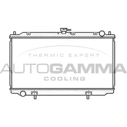 Радиатор охлаждения двигателя AUTOGAMMA 4BM4 L BPAP1Z9 103502 3850674 изображение 0