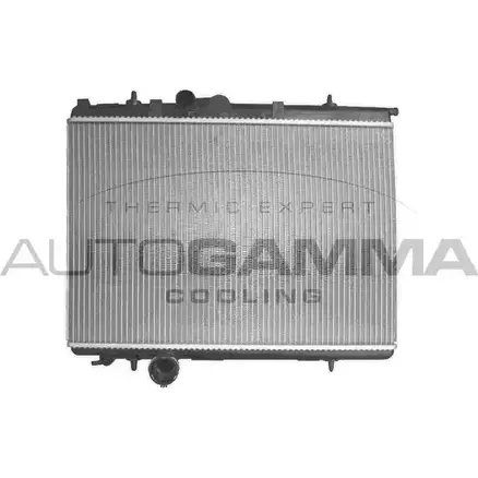 Радиатор охлаждения двигателя AUTOGAMMA W47CTNB 3850737 T X3G5 103567 изображение 0