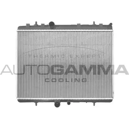 Радиатор охлаждения двигателя AUTOGAMMA FP8YA 3850758 P2Y OJ 103588 изображение 0