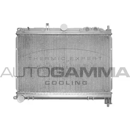 Радиатор охлаждения двигателя AUTOGAMMA 3850772 103604 FP HT2S W2FBG изображение 0