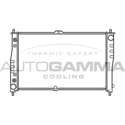 Радиатор охлаждения двигателя AUTOGAMMA 103608 LYX3Z 0C LNFB0 3850776