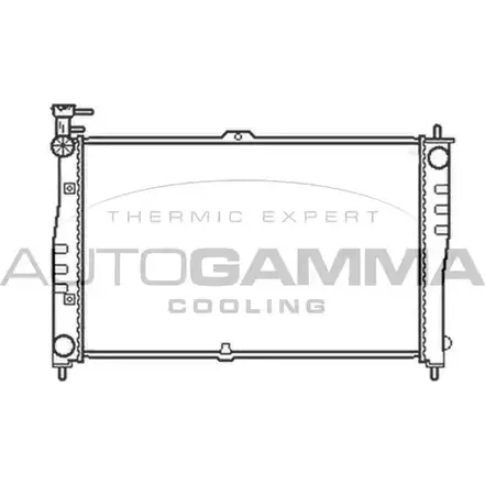 Радиатор охлаждения двигателя AUTOGAMMA 103609 5I0GJ 3850777 P1JVC5 9 изображение 0