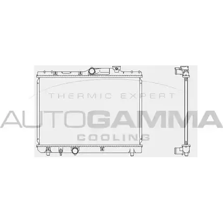 Радиатор охлаждения двигателя AUTOGAMMA SPID37V WR2J V 3850794 103626 изображение 0
