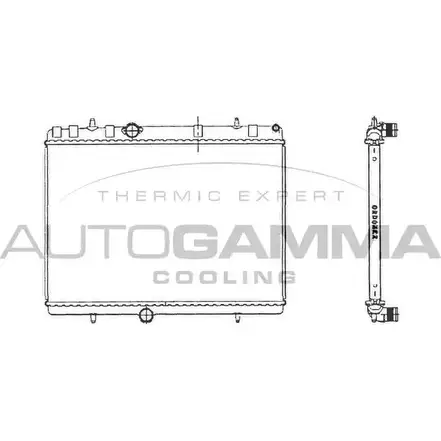 Радиатор охлаждения двигателя AUTOGAMMA 103638 3850806 UMPKLB F24 V6NE изображение 0