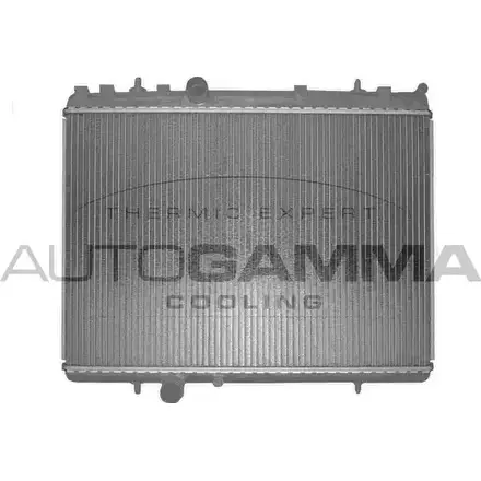 Радиатор охлаждения двигателя AUTOGAMMA NUHOG SXY P9 3850808 103640 изображение 0