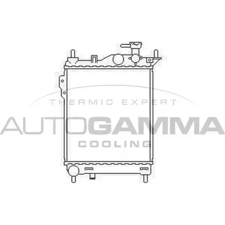 Радиатор охлаждения двигателя AUTOGAMMA 103667 QETWDD 3850834 ZLJ 9ER2