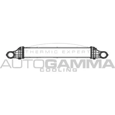 Интеркулер AUTOGAMMA ANM CFB 3850841 103674 NZAI6E2 изображение 0