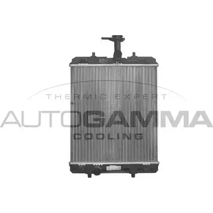 Радиатор охлаждения двигателя AUTOGAMMA 103684 WHFE3SC 3850849 MNJ S2OR