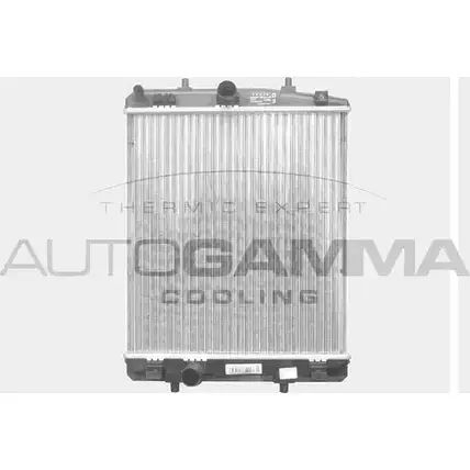 Радиатор охлаждения двигателя AUTOGAMMA 103685 3850850 F ZEW6 60MQN0 изображение 0