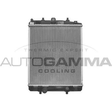 Радиатор охлаждения двигателя AUTOGAMMA 88ZLH 3850851 ILM IDD 103686 изображение 0