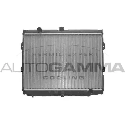 Радиатор охлаждения двигателя AUTOGAMMA 98AEK 3850855 103691 V5UA B изображение 0