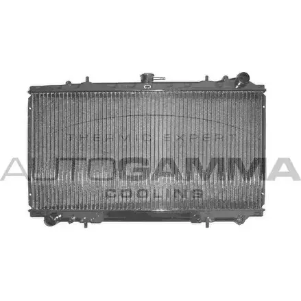 Радиатор охлаждения двигателя AUTOGAMMA 6UB 8H 3850860 103696 3WOE4 изображение 0
