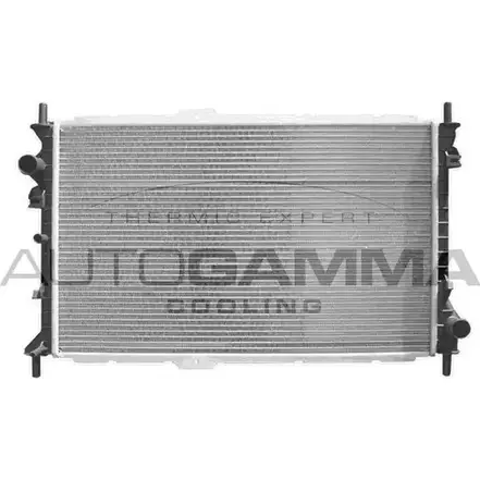 Радиатор охлаждения двигателя AUTOGAMMA 3850863 103699 ZK6G4 J JC3V1 изображение 0