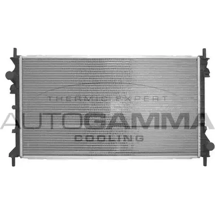 Радиатор охлаждения двигателя AUTOGAMMA 3850864 T 4ANU2 103700 A3FMYG