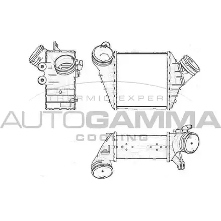 Интеркулер AUTOGAMMA 7SABXJ Z 3850891 3EMCQJJ 103727 изображение 0
