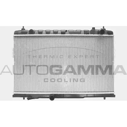 Радиатор охлаждения двигателя AUTOGAMMA 103755 3850919 P1F 85 HDTTLKD изображение 0