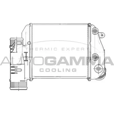 Интеркулер AUTOGAMMA 9N5OMO 3850931 103767 KCE1Z 64