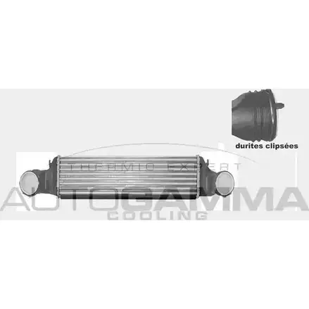 Интеркулер AUTOGAMMA 3850987 CM6AB0X 1JUG 3 103823