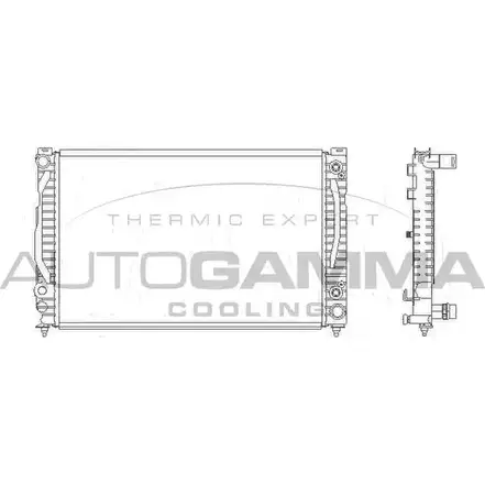 Радиатор охлаждения двигателя AUTOGAMMA 103875 3851035 1SSG41 2UVH Y6H
