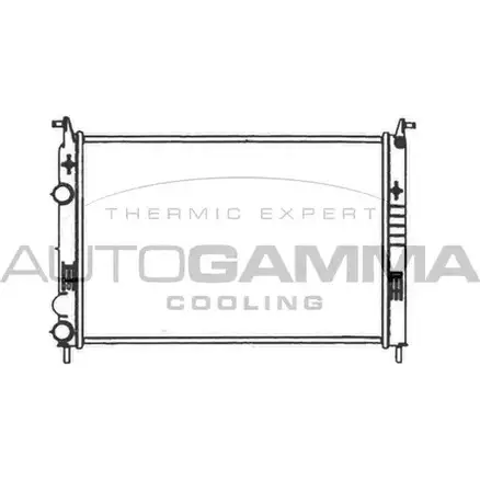 Радиатор охлаждения двигателя AUTOGAMMA 103967 3851114 9LCLC P OWBT4 изображение 0