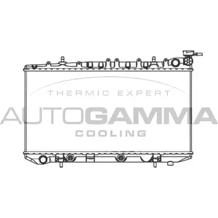 Радиатор охлаждения двигателя AUTOGAMMA YPA2F 103973 VCXP 6 3851120 изображение 0