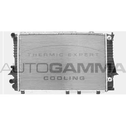 Радиатор охлаждения двигателя AUTOGAMMA 103976 XHYC29 DF SYY 3851123 изображение 0