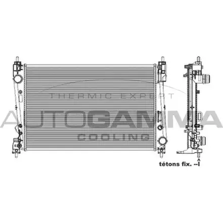 Радиатор охлаждения двигателя AUTOGAMMA 103987 VCXLW 3851134 DB S95SR изображение 0